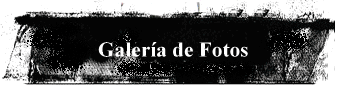 Galer�a de Fotos